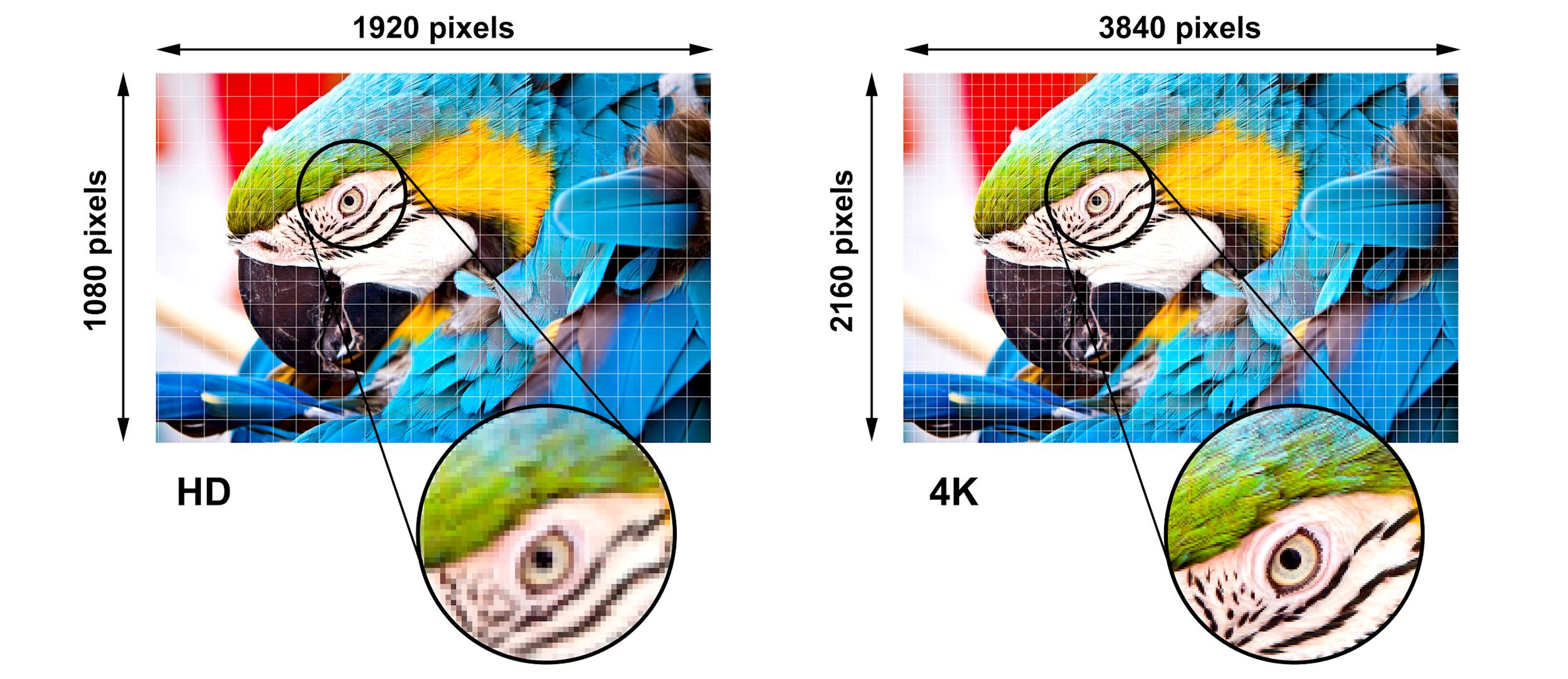 rozdzielczość Ultra HD 4K